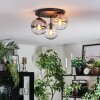Gastor Lampa sufitowa, Kula świetlna W kolorze bursztynu, Przezroczysty, Przydymiony, 3-punktowe