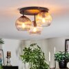 Koyoto Lampa sufitowa, Kula świetlna W kolorze bursztynu, Przezroczysty, Przydymiony, 3-punktowe