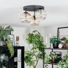 Koyoto Lampa sufitowa, Kula świetlna 30 cm W kolorze bursztynu, Przezroczysty, 3-punktowe