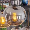 Apedo lampa wisząca, kula świetlna, lampa wisząca bursztynowy, przydymiony, 6-punktowe