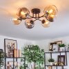 Koyoto Lampa sufitowa, Kula świetlna W kolorze bursztynu, Przezroczysty, Przydymiony, 6-punktowe