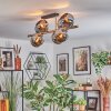 Koyoto lampa sufitowa, kula świetlna złoty, czarny, 8-punktowe