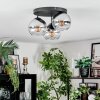 Koyoto lampa sufitowa, kula świetlna chrom, przezroczysty, przydymiony, 3-punktowe