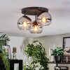 Koyoto lampa sufitowa, kula świetlna chrom, przezroczysty, przydymiony, 3-punktowe