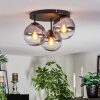 Koyoto lampa sufitowa, kula świetlna przezroczysty, przydymiony, 3-punktowe