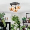 Gastor lampa sufitowa, kula świetlna bursztynowy, 3-punktowe