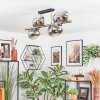 Koyoto lampa sufitowa, kula świetlna złoty, czarny, 8-punktowe
