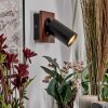 Dalan Lampa ścienna, Spot ścienny LED Ecru, Czarny, 1-punktowy