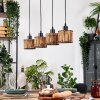 Cando lampa wisząca, lampa wisząca kolory naturalne, czarny, 4-punktowe