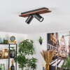 Dalan lampa sufitowa, spot sufitowy LED kolory naturalne, czarny, 2-punktowe