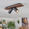 Dalan lampa sufitowa, spot sufitowy LED kolory naturalne, czarny, 2-punktowe