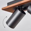 Dalan lampa sufitowa, spot sufitowy LED kolory naturalne, czarny, 2-punktowe