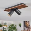Dalan lampa sufitowa, spot sufitowy LED kolory naturalne, czarny, 2-punktowe