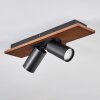 Dalan lampa sufitowa, spot sufitowy LED kolory naturalne, czarny, 2-punktowe