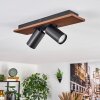 Dalan lampa sufitowa, spot sufitowy LED kolory naturalne, czarny, 2-punktowe