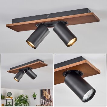 Dalan lampa sufitowa, spot sufitowy LED kolory naturalne, czarny, 2-punktowe