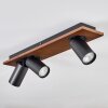 Dalan Lampa sufitowa, Spot sufitowy LED Ecru, Czarny, 3-punktowe
