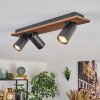 Dalan Lampa sufitowa, Spot sufitowy LED Ecru, Czarny, 3-punktowe