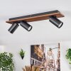 Dalan lampa sufitowa, spot sufitowy LED kolory naturalne, czarny, 3-punktowe