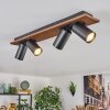 Dalan lampa sufitowa, spot sufitowy LED kolory naturalne, czarny, 4-punktowe