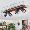 Dalan lampa sufitowa, spot sufitowy LED kolory naturalne, czarny, 4-punktowe