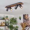 Dalan lampa sufitowa, spot sufitowy LED kolory naturalne, czarny, 4-punktowe