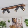 Dalan lampa sufitowa, spot sufitowy LED kolory naturalne, czarny, 4-punktowe