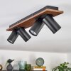 Dalan lampa sufitowa, spot sufitowy LED kolory naturalne, czarny, 4-punktowe