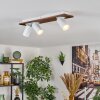 Dalan Lampa sufitowa, Spot sufitowy LED Ecru, Biały, 3-punktowe
