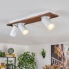 Dalan Lampa sufitowa, Spot sufitowy LED Ecru, Biały, 3-punktowe