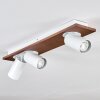 Dalan Lampa sufitowa, Spot sufitowy LED Ecru, Biały, 3-punktowe