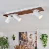 Dalan Lampa sufitowa, Spot sufitowy LED Ecru, Biały, 3-punktowe
