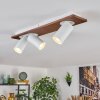 Dalan lampa sufitowa, spot sufitowy LED kolory naturalne, biały, 3-punktowe