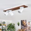 Dalan lampa sufitowa, spot sufitowy LED kolory naturalne, biały, 3-punktowe