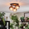Koyoto lampa sufitowa, kula świetlna 30 cm przezroczysty, przydymiony, 3-punktowe