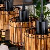 Cando Lampa wisząca, Lampa wisząca Ecru, Czarny, 5-punktowe