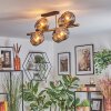Ripoll Lampa sufitowa, Kula świetlna Złoty, Czarny, 8-punktowe