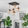 Koyoto lampa sufitowa, kula świetlna złoty, czarny, 5-punktowe