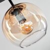 Koyoto lampa sufitowa, kula świetlna bursztynowy, przezroczysty, 3-punktowe