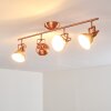 Tina Lampa Sufitowa Miedź, 4-punktowe Tina Lampa Sufitowa Miedź, 4-punktowe