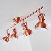 Tina Lampa Sufitowa Miedź, 4-punktowe Tina Lampa Sufitowa Miedź, 4-punktowe
