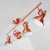 Tina Lampa Sufitowa Miedź, 4-punktowe Tina Lampa Sufitowa Miedź, 4-punktowe