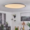 Champa Lampa Sufitowa LED Srebrny, 1-punktowy, Zdalne sterowanie