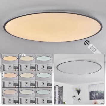 Champa Lampa Sufitowa LED srebrny, 1-punktowy, Zdalne sterowanie