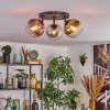 Koyoto lampa sufitowa, kula świetlna złoty, przezroczysty, miedziany, przydymiony, 3-punktowe