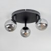 Chehalis lampa sufitowa, kula świetlna przydymiony, 3-punktowe
