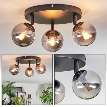 Chehalis lampa sufitowa, kula świetlna przydymiony, 3-punktowe