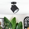 Bassagoda Lampa sufitowa, Spot sufitowy Czarny, 1-punktowy
