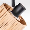 Granja Lampa sufitowa, Spot sufitowy Czarny, 1-punktowy