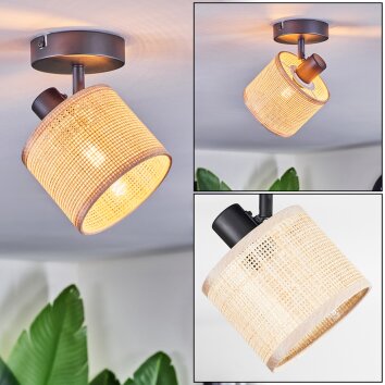 Sabadim Lampa sufitowa, Spot sufitowy Czarny, 1-punktowy